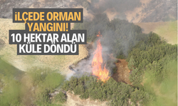 Kula’da orman yangını: 10 hektar alan küle döndü