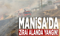 Manisa’da zirai alanda yangın!