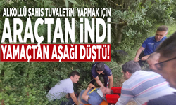 Alkollü şahıs tuvaletini yapmak için araçtan indi, yamaçtan aşağı düştü!