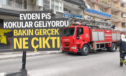 Evden pis kokular geliyordu… Bakın gerçek ne çıktı