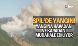 Yangına havadan ve karadan müdahale ediliyor