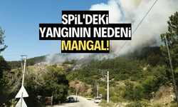 Spil'deki yangının nedeni mangal!