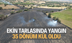 Manisa'da ekin tarlasında yangın: 35 dönüm kül oldu