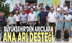 Büyükşehir'den arıcılara ana arı desteği