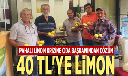 Pazarda el yakan limon fiyatlarına oda başkanından çözüm!