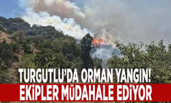 Turgutlu'da orman yangın! Ekipler müdahale ediyor