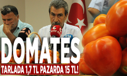 Domates tarlada 1,7 TL pazarda 15 TL!