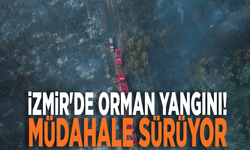 İzmir'de orman yangını! Müdahale sürüyor