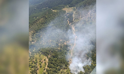 Balıkesir'de orman yangını başladı