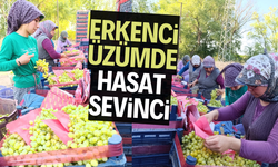 Erkenci üzümde hasat sevinci