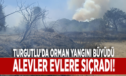 Turgutlu'da orman yangını büyüdü: Alevler evlere sıçradı!