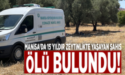 Manisa'da 15 yıldır zeytinlikte yaşayan şahıs ölü bulundu!