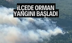 İLÇEDE ORMAN YANGINI BAŞLADI