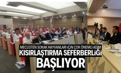 Büyükşehir Meclisi'nden sokak hayvanları için ilk önemli adım