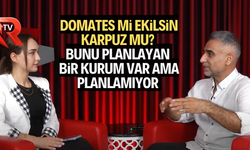 Domates mi ekilsin, karpuz mu?