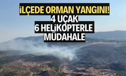İlçede yangın! 4 uçak, 6 helikopterle müdahale