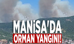 Manisa'da orman yangını! Ekipler müdahale ediyor