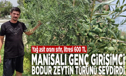 Yağ asit oranı sıfır, litresi 600 TL... Manisalı genç girişimci bodur zeytin türünü sevdirdi