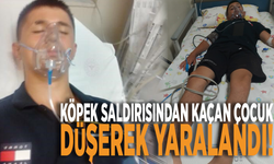 Manisa'da köpek saldırısından kaçan çocuk düşerek yaralandı!