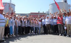 Zeytinyağı fabrikası işçileri 31 gündür grevde!