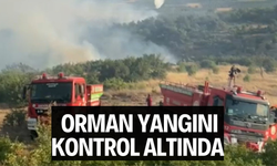 Kırkağaç'taki orman yangını kontrol altına alındı