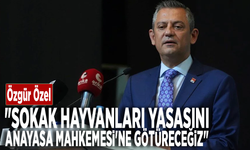 Özgür Özel: "Sokak hayvanları yasasını Anayasa Mahkemesi'ne götüreceğiz"