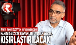 Manisa'da sokak hayvanları uyutulmayacak, kısırlaştırılacak!