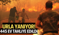 İzmir'de büyük yangın: 445 ev tahliye edildi