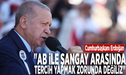 Cumhurbaşkanı Erdoğan: "AB ile Şangay arasında tercih yapmak zorunda değiliz"