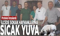 Protokol imzalandı: İlçede sokak hayvanlarına sıcak yuva