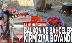 Kış için hazırlık zamanı: Balkon ve bahçeler kırmızıya boyandı