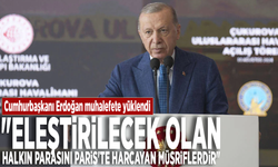 Cumhurbaşkanı Erdoğan muhalefete yüklendi: "Eleştirilecek olan, halkın parasını Paris'te harcayan müsriflerdir"