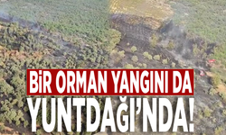 Bir orman yangını da Yuntdağı’nda!