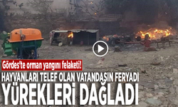 Gördes'te orman yangını felaketi: Hayvanları telef olan vatandaşın feryadı yürekleri dağladı