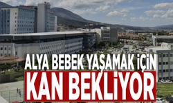 Alya bebek yaşamak için kan bekliyor