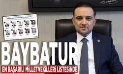 Baybatur en başarılı milletvekilleri listesinde