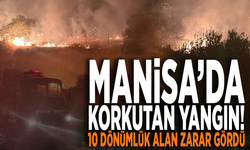 Manisa’da korkutan yangın! 10 dönümlük alan zarar gördü