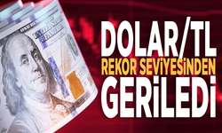 Dolar/TL rekor seviyesinden geriledi