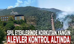 Spil eteklerinde korkutan yangın: Alevler kontrol altında