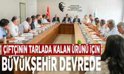 Çiftçinin tarlada kalan ürünü için Büyükşehir devrede