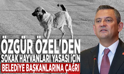 Özgür Özel'den sokak hayvanları yasası için belediye başkanlarına çağrı