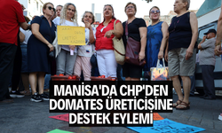 Manisa'da CHP'den domates üreticisine destek eylemi