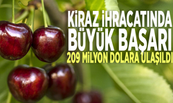 Kiraz ihracatında büyük başarı: 209 milyon dolara ulaşıldı