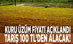 Kuru üzüm fiyatı açıklandı: TARİŞ 100 TL’den alacak!