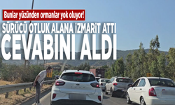 Bunlar yüzünden ormanlar yok oluyor! Sürücü otluk alana izmarit attı, cevabını aldı