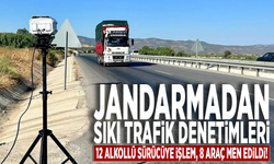 Jandarmadan sıkı trafik denetimleri: 12 alkollü sürücüye işlem, 8 araç men!