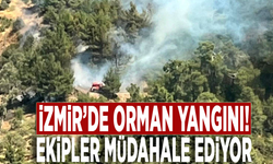 İzmir'de ormanlık alanda yangın!