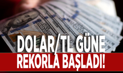 Dolar/TL güne rekorla başladı!