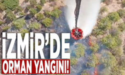 İzmir Bergama'da orman yangını!