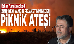 Bakan Yumaklı açıkladı: İzmir’deki yangın felaketinin nedeni piknik ateşi